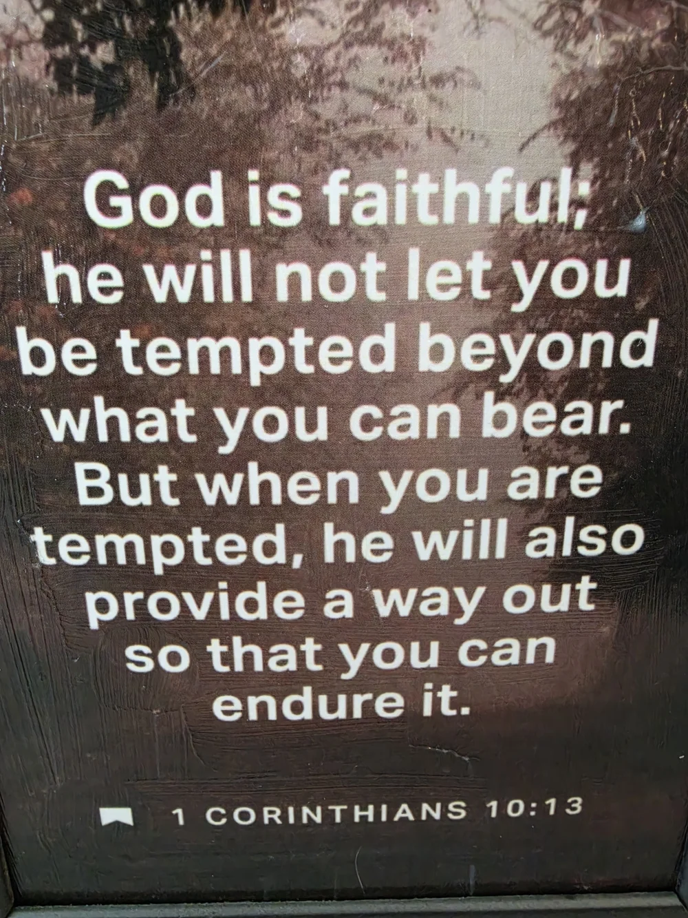 Framed inspirational print Bible verse 1 Corinthians 10:13 Dark forest Tree